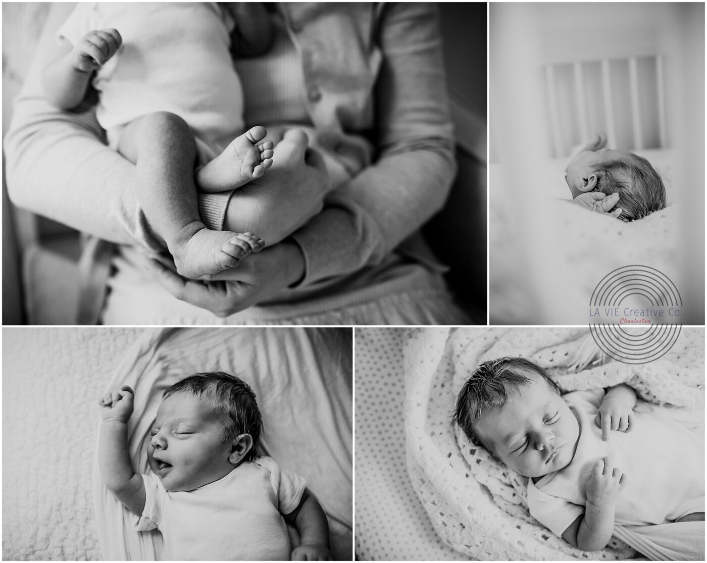 Charleston sc newborn photography