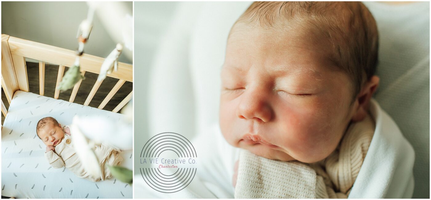 charleston newborn baby photographers